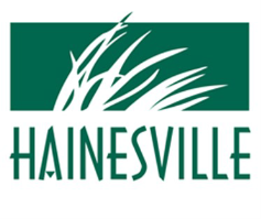 Village of Hainesville
